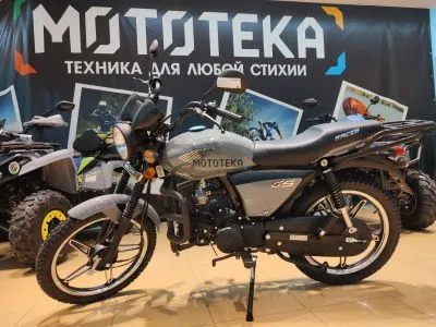 Мопед Racer (Рейсер) RC50 (110) ALPHA M1 серый